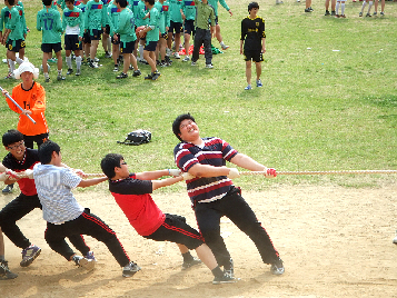 광고&nbsp;스포츠&nbsp;클럽&nbsp;한마당&nbsp;행사(체육대회)